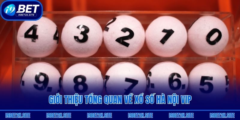 Giới thiệu tổng quan về xổ số Hà Nội Vip